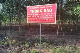 Đồng Nai: Thành lập 2 tổ công tác xử lý phản ánh nóng về xây dựng, đất đai