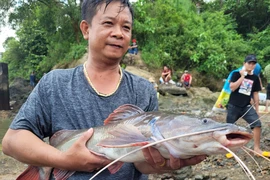 Hàng ngàn người đi săn bắt cá ở đập Thủy điện Trị An