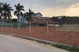 'Ngã ngửa' khi phát hiện gần 4.500 m² đất bị đấu giá để thi hành án cho người khác