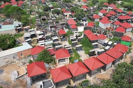 Thông tin mới vụ xẻ 2,5 ha đất giữa TP Biên Hòa xây huyệt mộ để bán