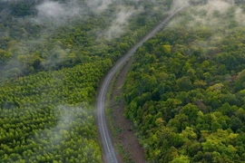 Đồng Nai làm đường trên cao 13 km xuyên rừng Mã Đà