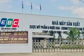 Công ty làm kem chống nắng giả bán cho chồng Đoàn Di Băng nợ gần 350 triệu đồng BHXH