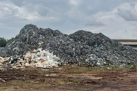 Đồng Nai: Bắt giam hai người tập kết hàng trăm tấn da bò gây ô nhiễm