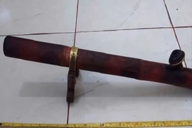 Đồng Nai: Bắt tạm giam nghịch tử cầm điếu cày đánh cha trọng thương