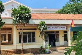 Tình tiết mới vụ không có bò vẫn có tên trong danh sách… bò được phối giống