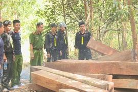 Công an đang làm rõ vụ bán tang vật giá thấp bất thường ở Đắk Lắk