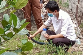 Lần đầu xuất hiện vi khuẩn ăn thịt người ở Đắk Nông