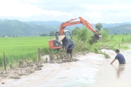 Mưa lớn gây ngập nặng ở Tây Nguyên 