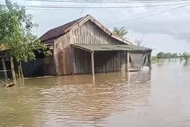 Bị điện giật tử vong khi nhà ngập lụt