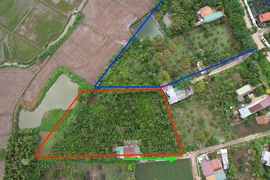 Bị hủy kèo mua bán đất vì hàng xóm bỗng nhiên tranh chấp lối đi không có thực