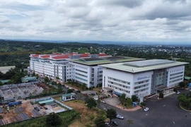 Đắk Lắk: Thêm 2 bệnh nhi mắc viêm não Nhật Bản 