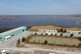 Đắk Lắk: Thu hồi 13,2 ha đất của dự án điện mặt trời Xuân Thiện