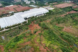 Lý do không xử lý hình sự 2 cán bộ Bộ Xây dựng vụ sạt lở khu công nghiệp