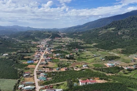 Hơn 2.700 người dân Lâm Đồng sinh sống, sản xuất trên đất ở tỉnh Đắk Nông