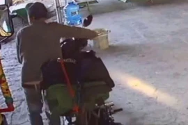Chó chết vì bệnh dại, chủ nhà ráo riết tìm người bị hại