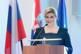 Fan Croatia và khách VIP siêu hot trên sân Sochi