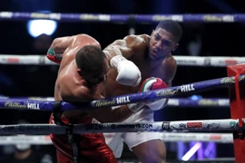 Pulev ngẩng cao đầu dù thua Joshua