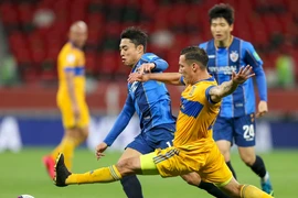 ‘Hổ Mễ’ đánh bại ‘Hổ Hàn’
