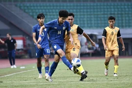 Ba ông lớn VN, Thái Lan, Indonesia đều lo