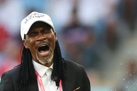 Rigobert Song: 'Tôi là bố trong đội tuyển'
