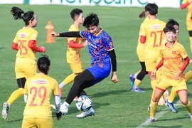 Ngoài tuyển Đức, tuyển Việt Nam còn gặp U-23 Ba Lan