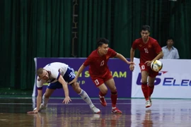 Việt Nam cùng bảng với chủ nhà Thái Lan, Myanmar ở vòng loại World Cup 2024