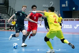 Tuyển Việt Nam và Indonesia tranh vô địch, chung kết trong mơ