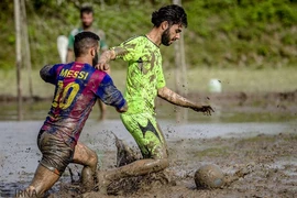 FIFA công nhận footshal sau football ,futsal, showball?