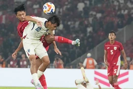 Việt Nam- Indonesia cũng là chung kết trong mơ 