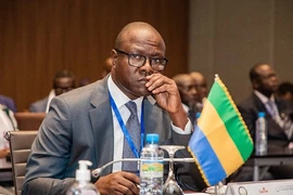 Gabon thua Bờ Biển Ngà như U-22 Thái Lan thua Việt Nam, Bộ trưởng ra án kỷ luật khủng