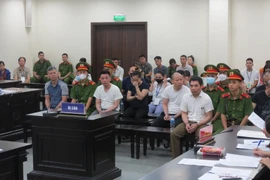 Đường dây làm giả thẻ tín dụng để chiếm đoạt tiền lãnh án