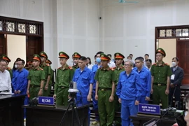 Anh trai cựu Chủ tịch AIC Nguyễn Thị Thanh Nhàn được giảm án