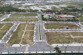Cựu chủ tịch Vimedimex hầu tòa trong vụ sai phạm đấu giá đất ở Hà Nội