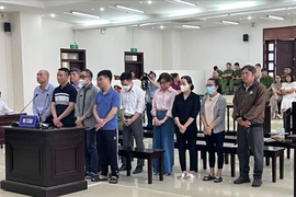 Công ty Việt Á kháng cáo đòi nợ hơn 1.200 tỉ đồng