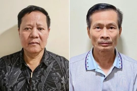 Ngụy trang đất hiếm thành "cơm dẻo mềm thơm", vì đâu nên nỗi?