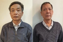 Cơ quan điều tra kiến nghị thu hồi 5 khu đất liên quan Tổng công ty Chè