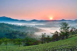 Ngắm Đà Lạt đẹp nao lòng trong buổi sớm bình minh