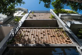 Nhà phố mát mẻ nhờ thiết kế 2 lớp vỏ