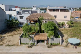 Ngôi nhà mái lá cỏ tranh nổi bật giữa lòng đô thị