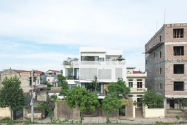 Ngôi nhà xanh mát bên triền đê sông Đáy