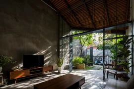 Ngôi nhà chan hòa giữa thiên nhiên ở Sài Gòn