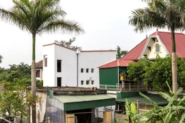 Ngắm ngôi nhà phá cách với hình dạng gấp khúc