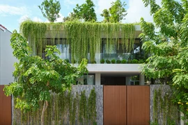 Ngôi nhà nổi bật với 'khu vườn trên mây' ở Phan Thiết