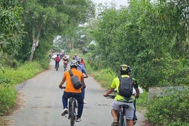 2000 người tham gia chạy việt dã băng đồng huyện Củ Chi, TP.HCM
