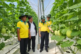 Đi du lịch Bình Chánh để nghe những điều chưa kể 