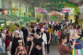 Hàng ngàn du khách tham quan, mua sắm tại lễ hội Trái cây Nam Bộ