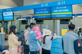 1 hãng bay hủy 7 chuyến bay do sự cố va chạm với chim
