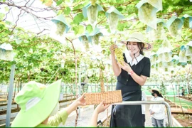 Cần tiêu chí xanh để 'lên hạng' du lịch nông thôn