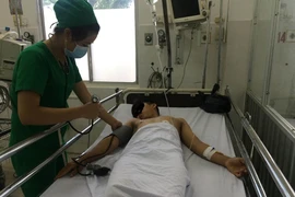 3 anh em cùng nhập viện vì ăn... cóc chiên