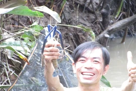 Thú vị với cảnh dỡ chà ăn Tết ở miền Tây